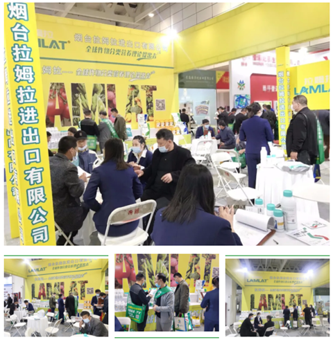 水溶肥，拉姆拉，翠姆