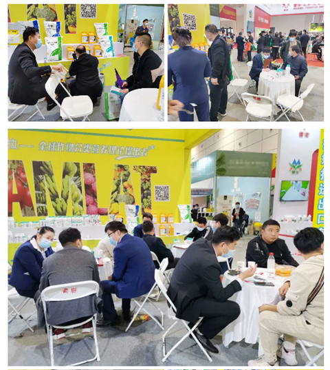 水溶肥，拉姆拉，翠姆
