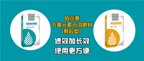 顆粒肥，拉姆拉，翠姆