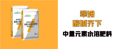 水溶肥，拉姆拉，翠姆