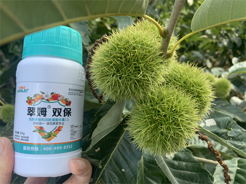 水溶肥品牌,板栗?；ū９?翠姆雙保