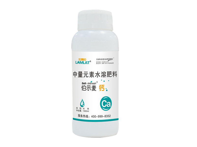 拉姆拉